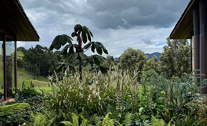 Fachada restaurante rodeada de vegetación nativa, diseño de paisajismo en Bogotá.