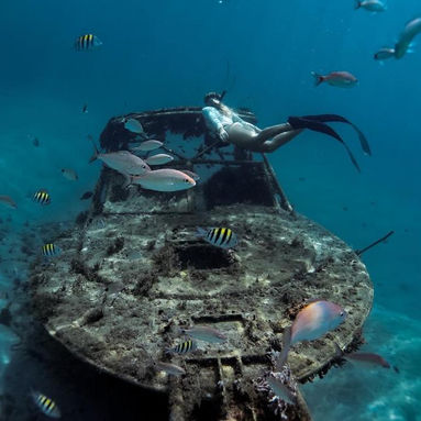 Diving Expedition