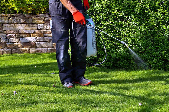 homeguide-lawncare-professional-spraying-weed-killer-on-lawn.jpeg