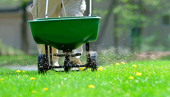 lawn-weed-and-feed-sized.jpeg