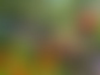 Vermont garden with waterfall.