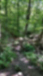 Hiking at Lake Mansfield Trout Club