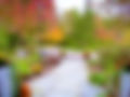 fall-leaf-peeping-best-lodging.jpg