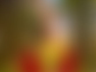 sitting watching fall leafs at bed and breakfast