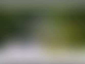 Awarded Top 3 Adult Only and 4-Star Accommodations in Vermont