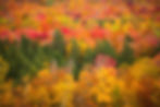 Fall adventures in Stowe Vermont - romance