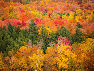 bright fall foliage in stowe vermont