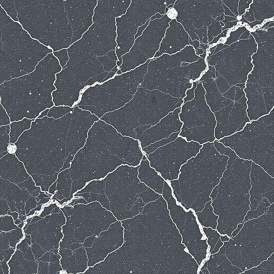 quartz stone_.jpg