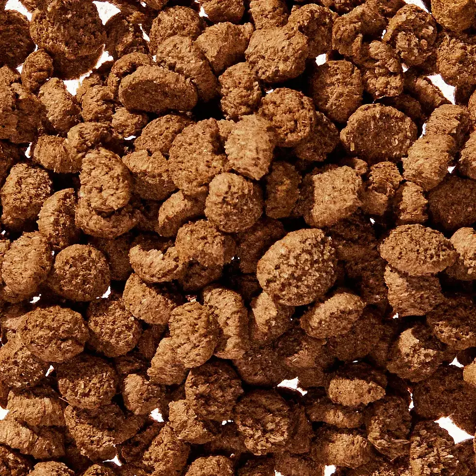 Thumbnail: Wondergland Anal Gland Pumpkin Fiber & Digestive Supplement(8 oz)