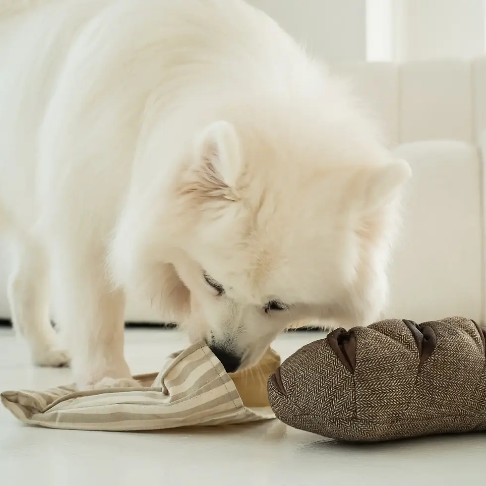 Thumbnail: Rye //Enrichment Dog Toy