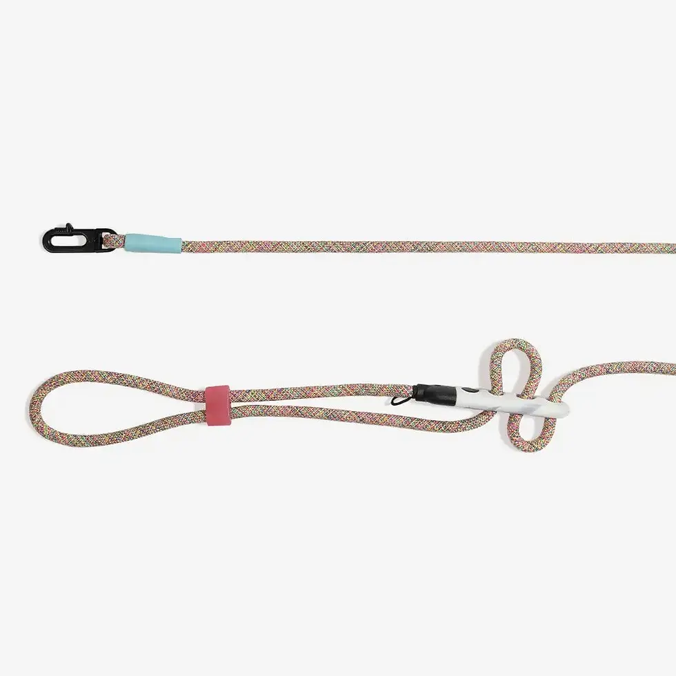 Zee.Dog Gravity | Hands-Free Leash