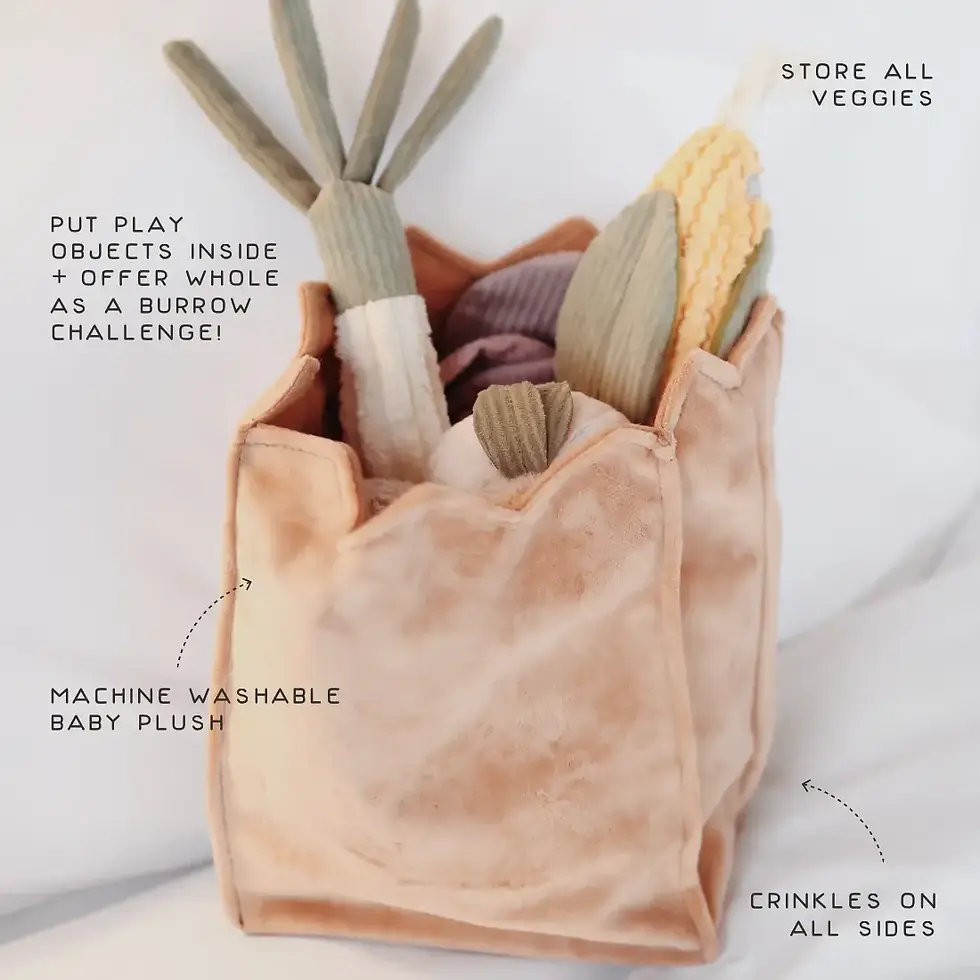 Thumbnail: Farmer's Market Set // Enrichment Toy Set// Snuffle Toy