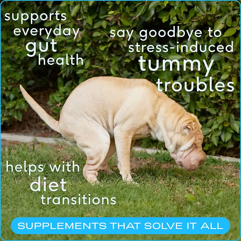 Thumbnail: Probiotic & Prebiotic Powder Vet-Formulated Supplement（4.1 oz)