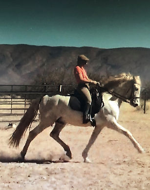 J extended trot.jpg