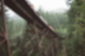 Train Crossing Bridge