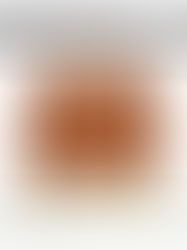 A-list Nation's Current Obsession September 2020