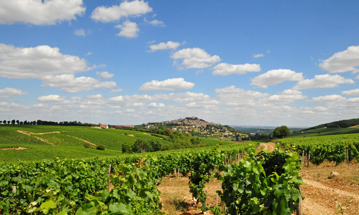 SANCERRE-AD2T-PATRICE-REGNIER-0023.JPEG