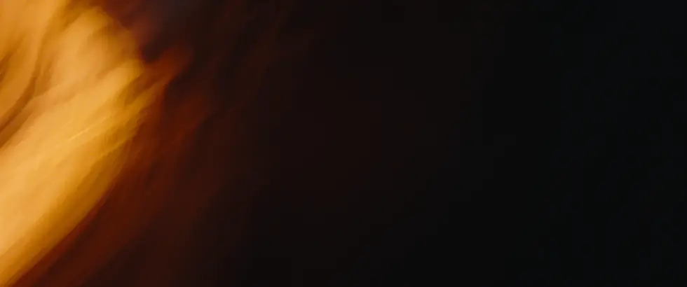 Reaching for Light Still_A1S9 (7).webp