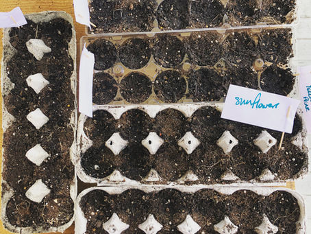 Planting, praying, & hoping