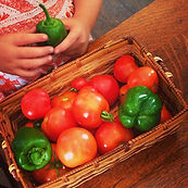 kids hands veggies 2013.jpg