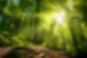 Yoga-Wanderung.jpg