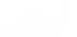 Finnspirit_Logo_NAALI_white.png