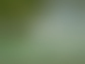 オンライン資格確認を行う体制を有しています。