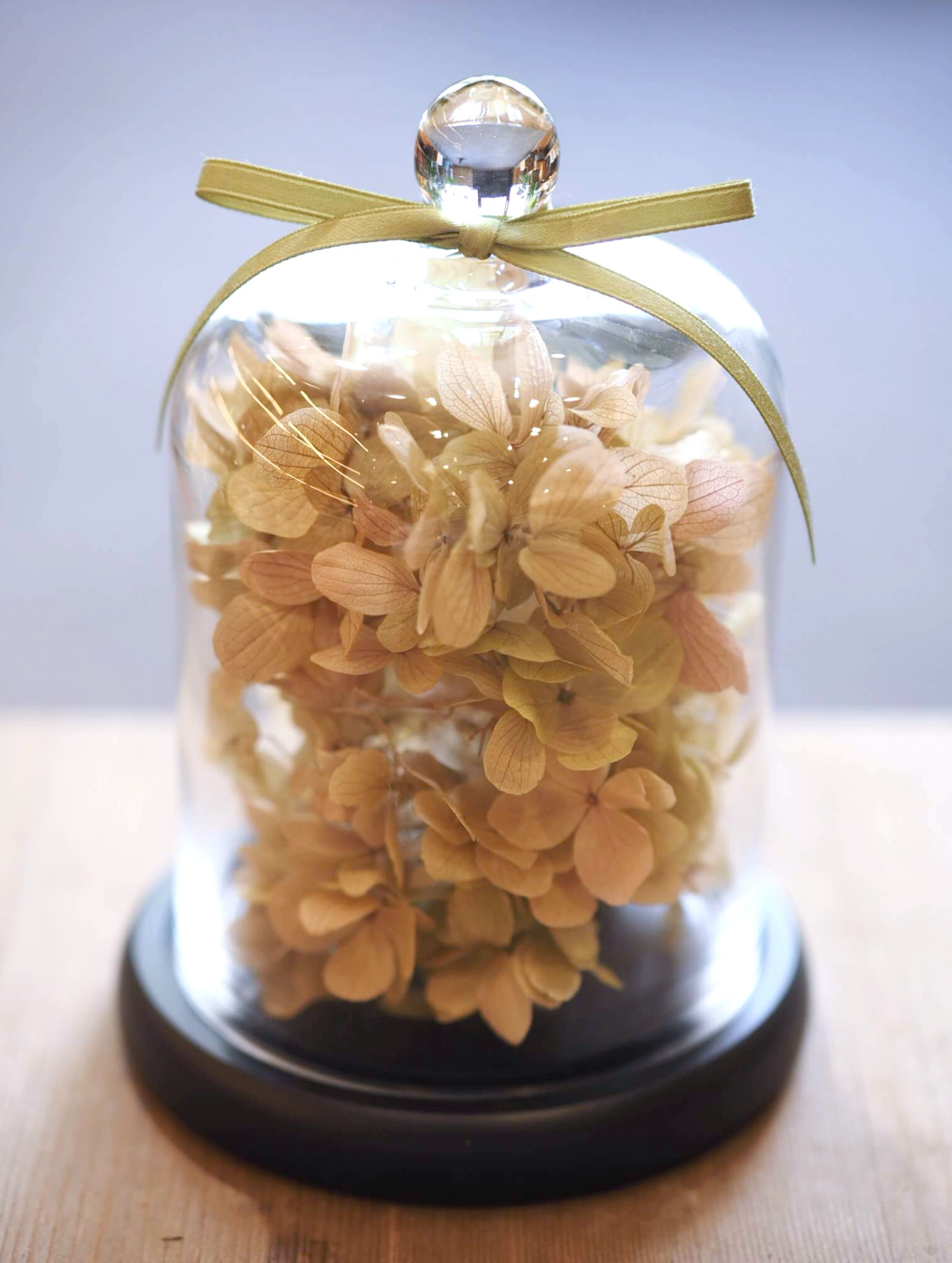 Preserved Green Hydrangea in bell jar London delivery