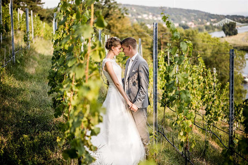 hochzeitsbild-weinberg