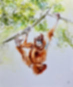 The Fine Art of Monkey Businessg