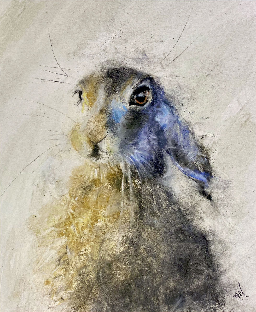 hare painting by annalisa wallace_edited