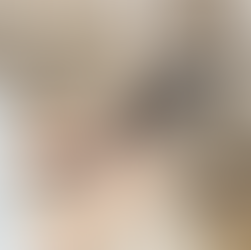 Key Features of a Successful Stock Management System