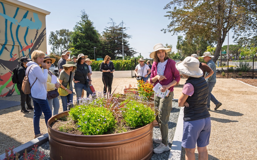 A group of people, wearing hats, gather around colorful flower planters in a garden while talking to a guide.