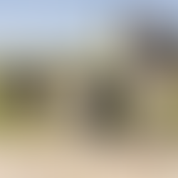 North Course Insights from Renowned Golf Course Architects