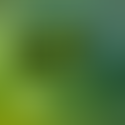 The Ultimate Father’s Day Gift Guide for Golfers