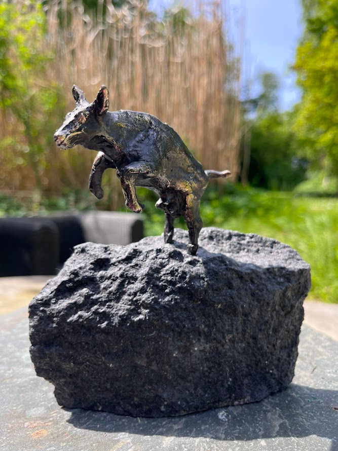 Miniaturebillede: Glad forårsko