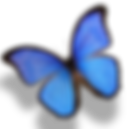 038e96bcdfbcff7ab58ccd029987431b (1).png