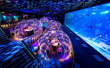 Immersive Dining 6.jpeg