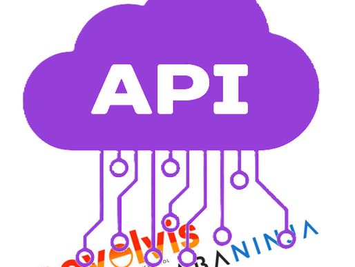 AbaNinja API Schnittstelle: Der Effizienzboost für Treuhänder 