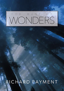 FOR WANT OF WONDERS
