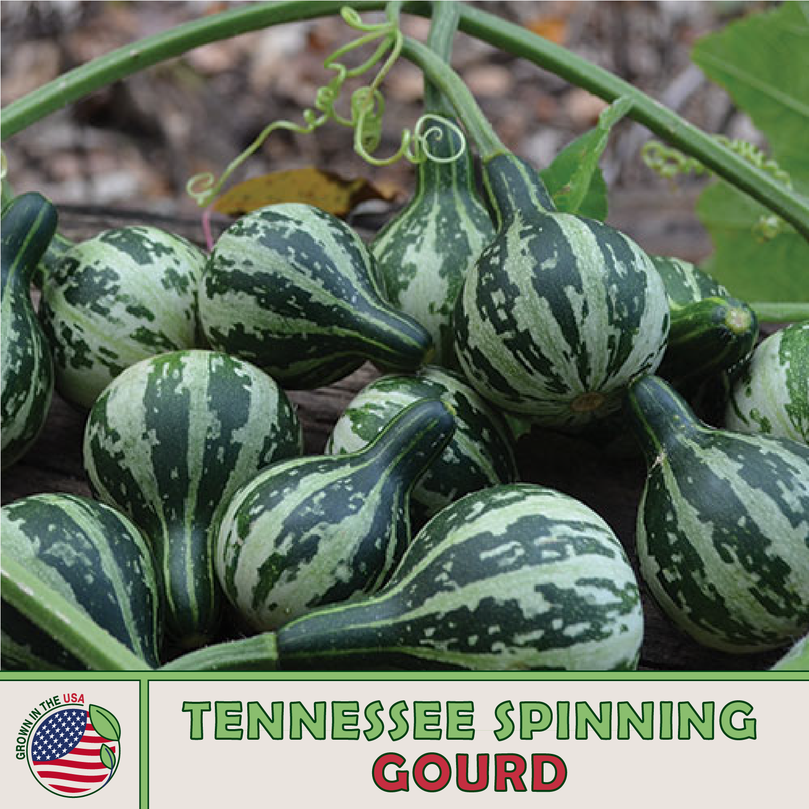 Tennessee Spinning Gourd