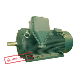 A-Y2H Series Three Phase Heavy Duty Motor