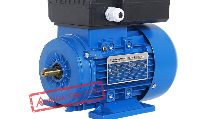 A-YY Series Single Phase Asynchronous Motor