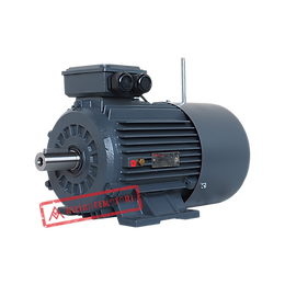 A-Y3BX Series Three Phase Brake Motor