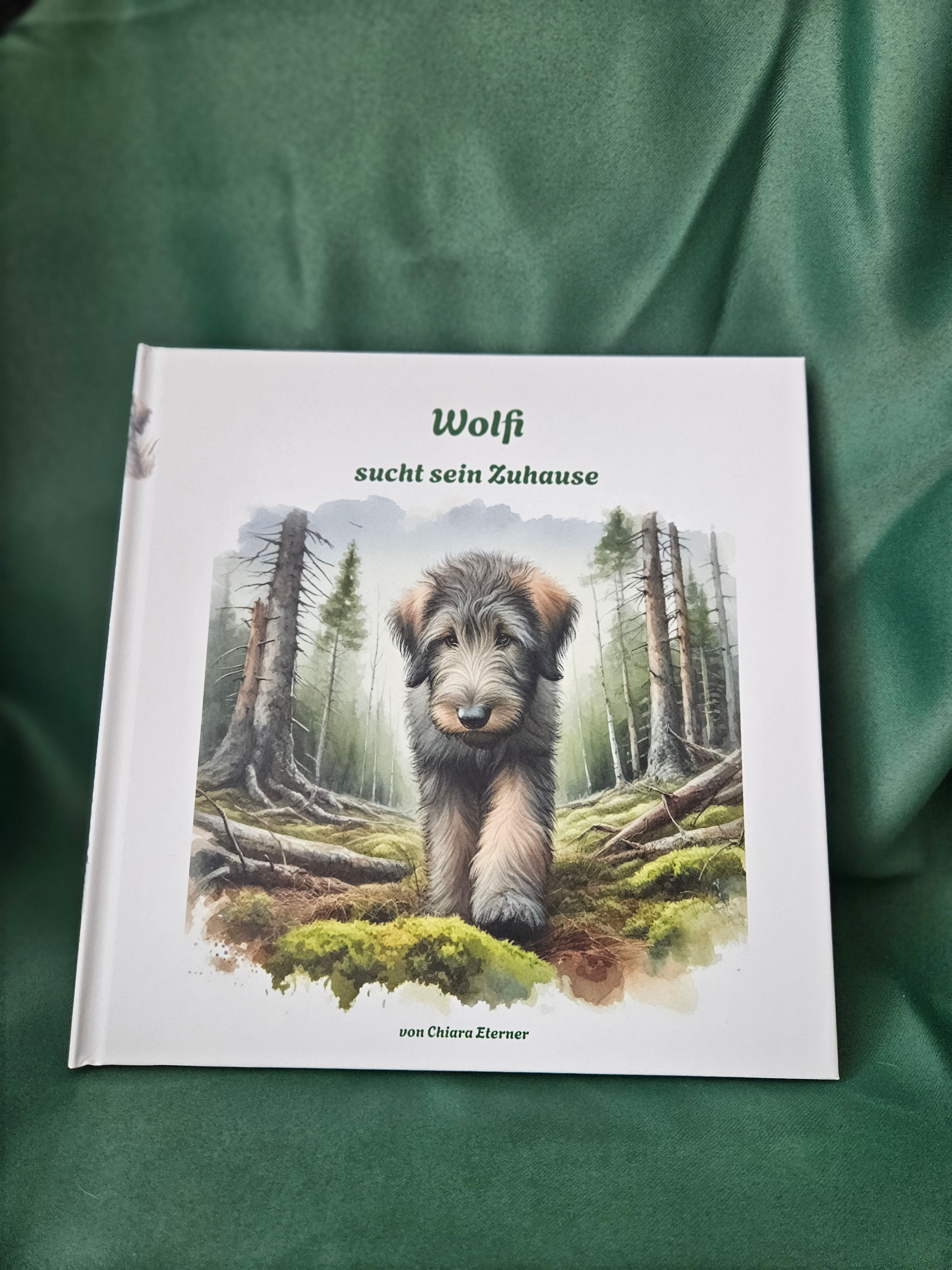 Wolfi sucht sein Zuhause