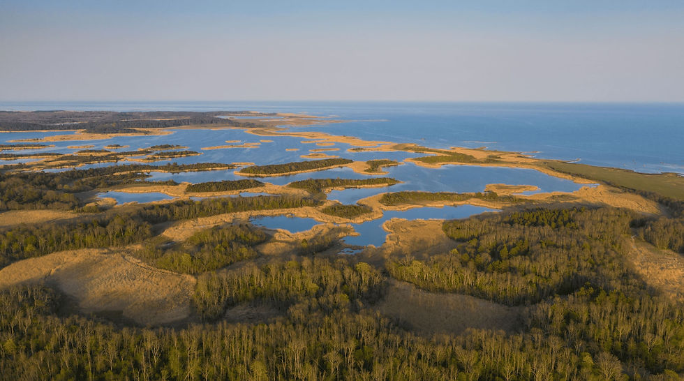 【aesti アエスティ】ピート100%!フェイスマスクとボディ&バスマスクの違いとは?|くすみ・毛穴汚れが気になる方向けホームケア|SANKAKU ONLINE SHOP