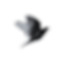 logo_tori-photo.png