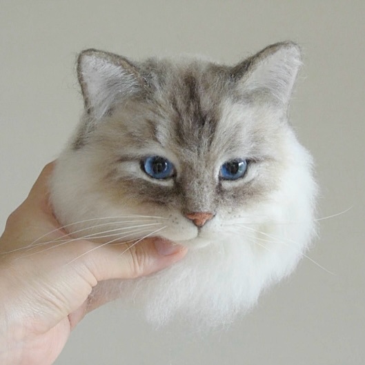 cat-grey-00003.jpeg
