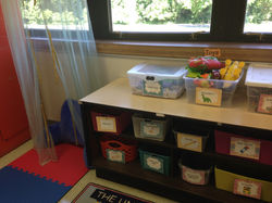 Reading Nook and Toys