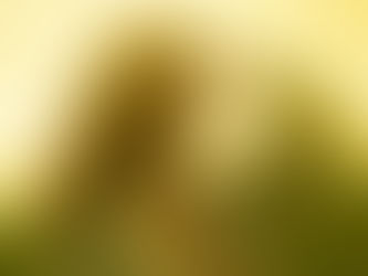 Ava Valianti captures quiet chaos on new single 'Clean My Room'